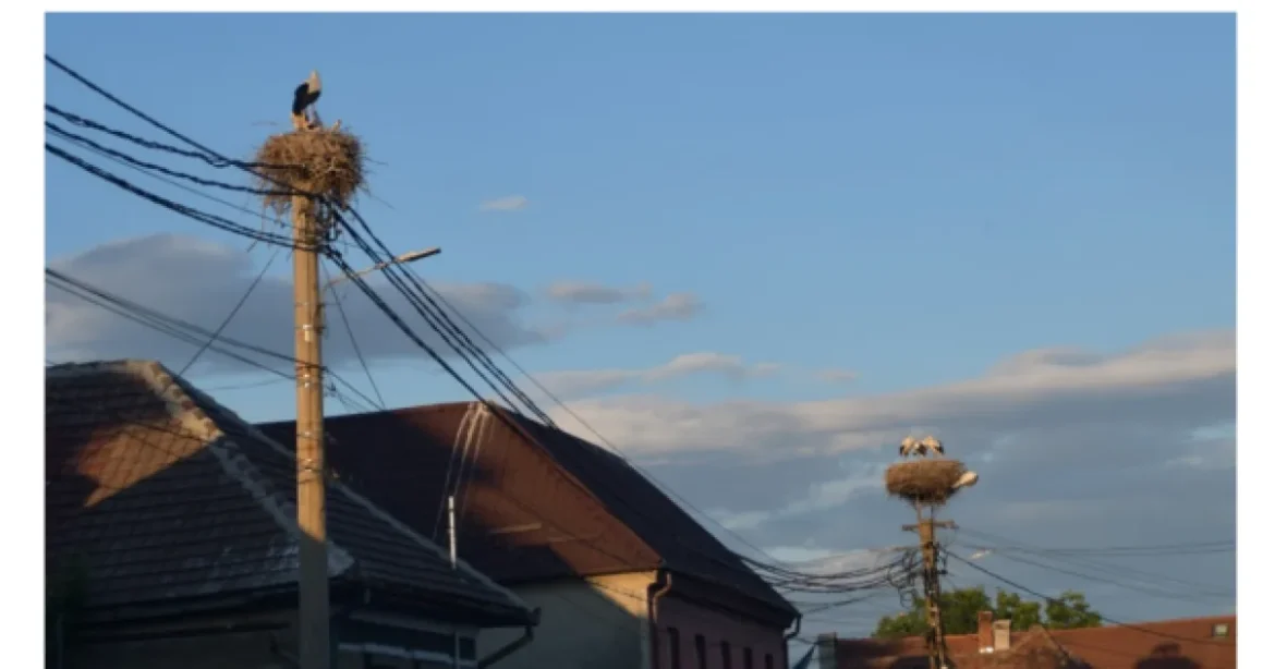Autostrada Brașov – Făgăraș, aprobată azi în Guvern
