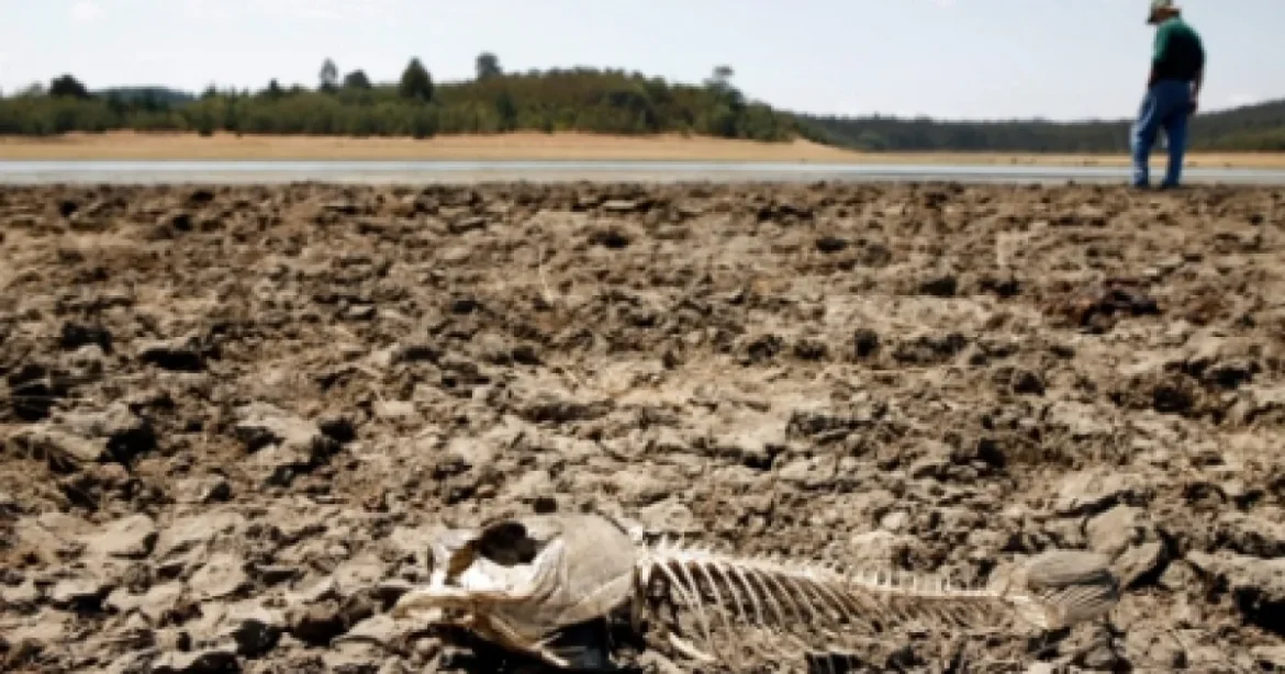 Fermierii, loviți de dezastre meteo: pagube de 14-17 miliarde de euro
