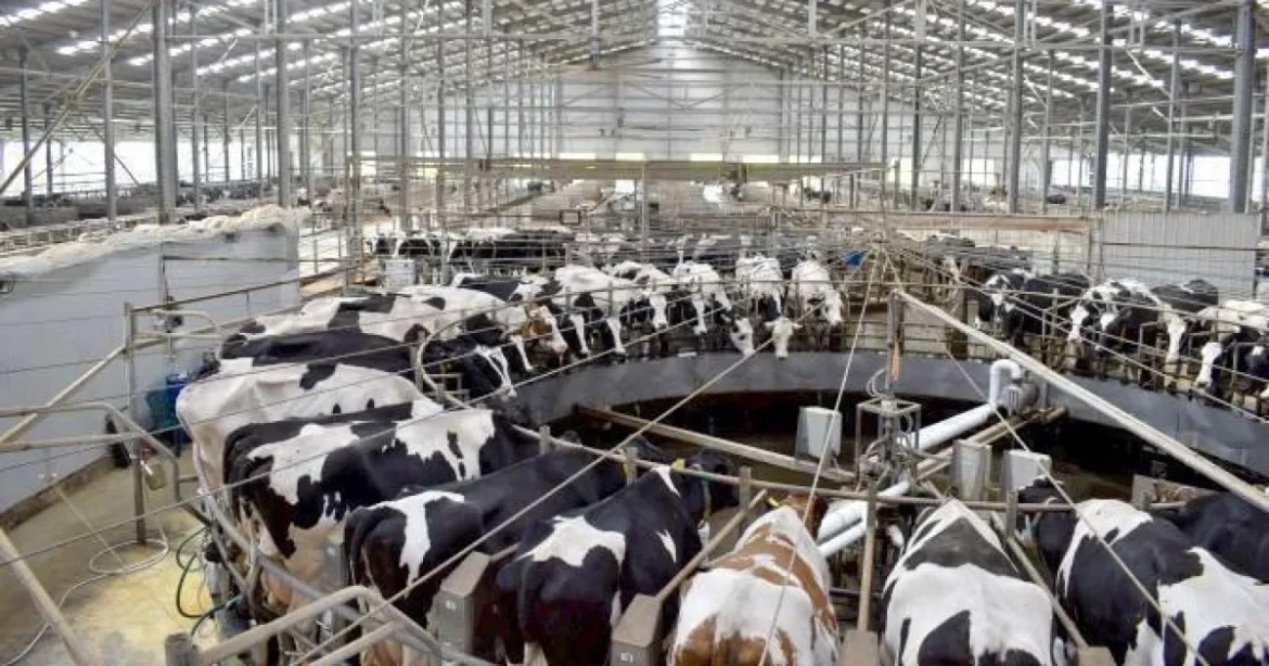 Agroserv Măriuța a atras a treia finanțare pentru energie regenerabilă