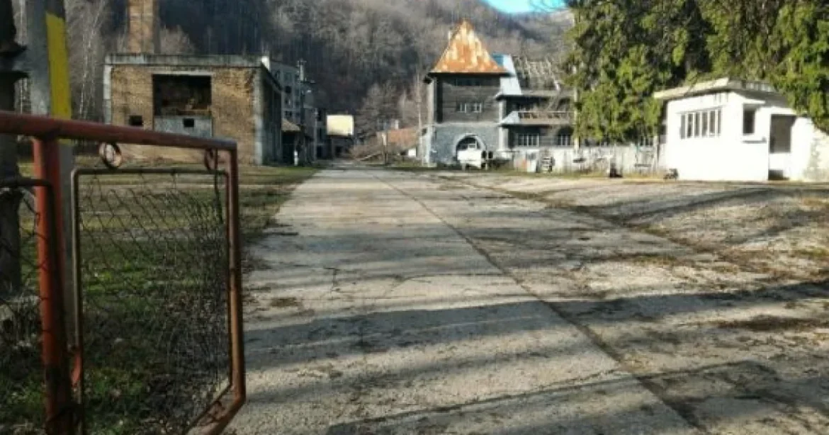 Ce spune Daniel Zamfir despre pământurile rare și materiile prime critice