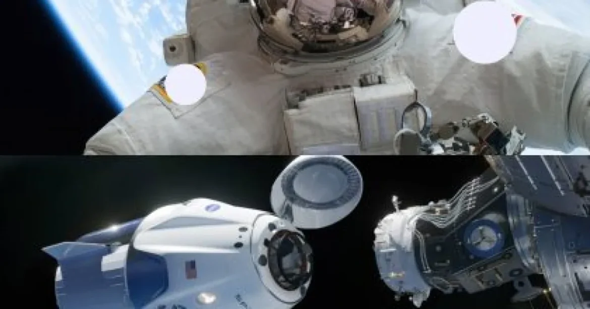 Elon Musk promite o acțiune SpaceX fiecărui copil din America