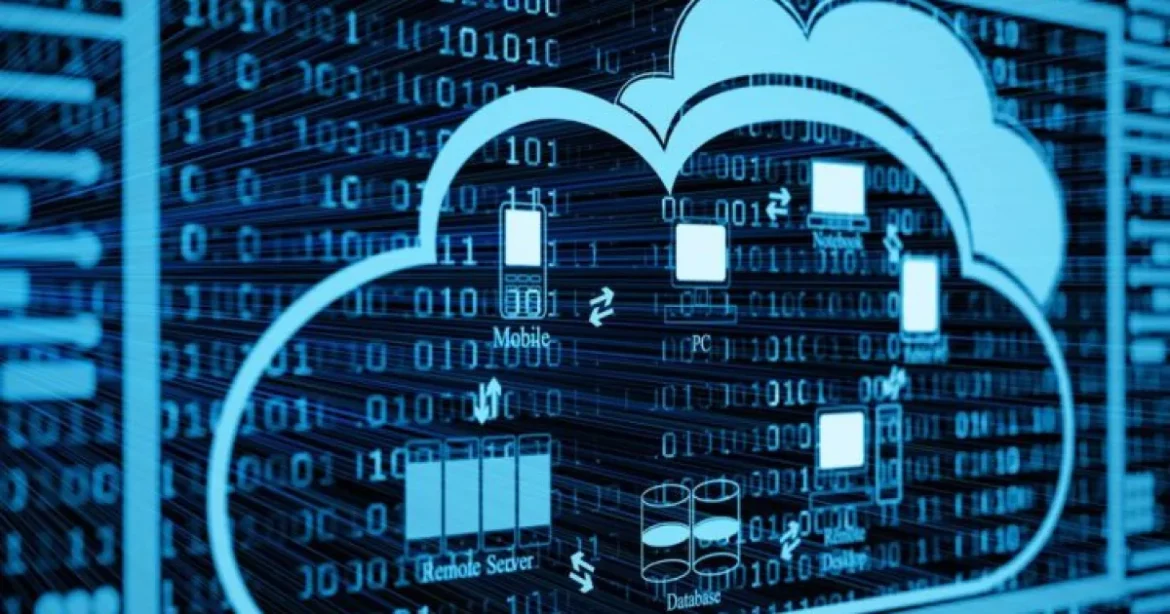 Network One Distribution deschide o nouă linie de business