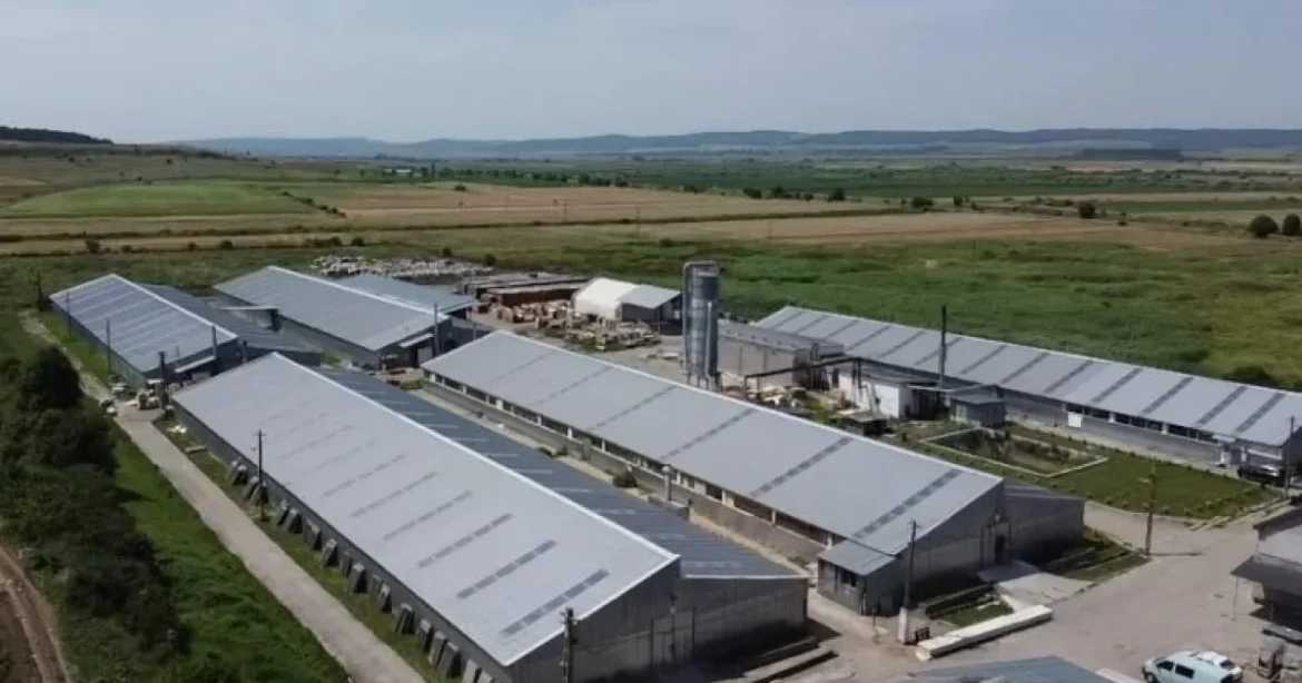 Roca Industry a închis diferendul cu fostul proprietar al Workshop Doors